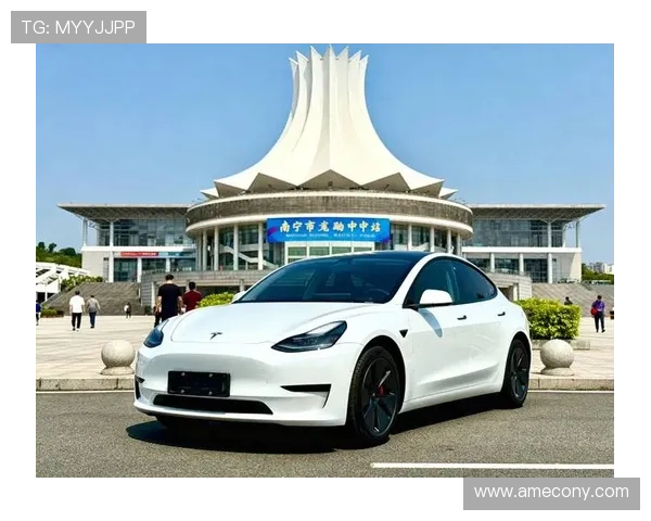 现金真人网官网正规平台，保障玩家资金安全与隐私保护的最佳选择指南